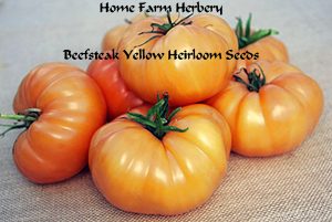 Tomato-Beefsteak-yellow HFH