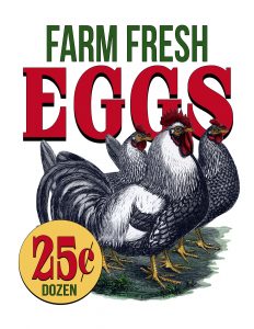 farm_fresh_eggs
