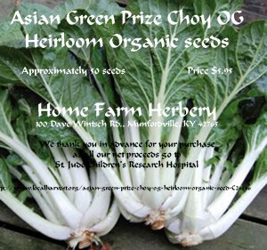 asian green prize Choy OG