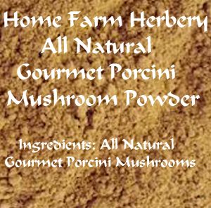 porcini mushroom powder