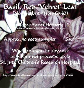 basil-red leaf