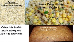 quinoa MERGE