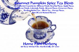 Pumpkin Spice Tea HFH
