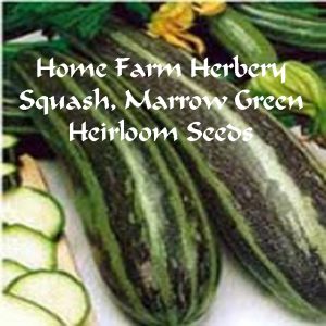 squash marrow green HFH