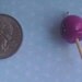 Grape lollipop polymer clay charm or pendant (includes clasp) kawaii ooak